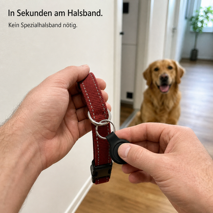PawSafe Hunde- & Katzenfinder – smarter Ortungstracker